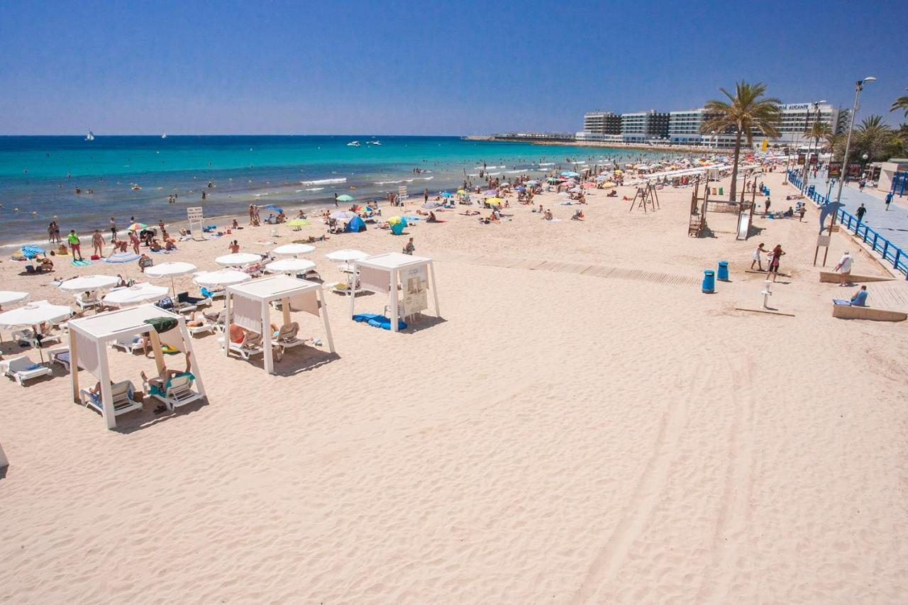 Large Apartment With Large And Sunny Terrace - Garden & Outdoor Gym , Alicante Center 외부 사진